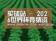种植基地六