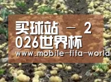 种植基地七