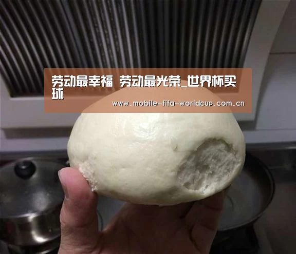 劳动最幸福 劳动最光荣_世界杯买球(图2) 买球站
