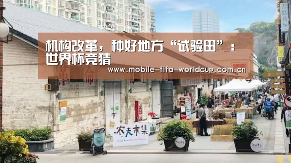 机构改革,种好地方“试验田”:世界杯竞猜(图2) 买球站